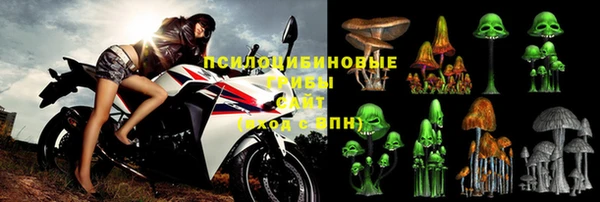 гашик Абинск