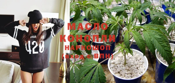 сатива Дмитровск