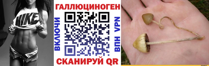 Псилоцибиновые грибы прущие грибы  Нижнекамск 